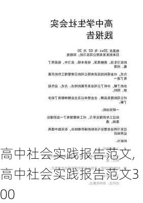 高中社会实践报告范文,高中社会实践报告范文300