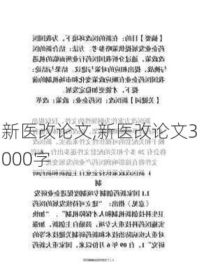 新医改论文,新医改论文3000字