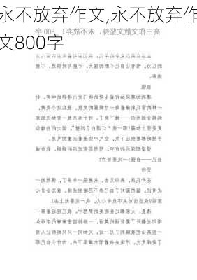 永不放弃作文,永不放弃作文800字