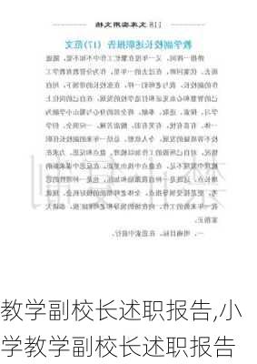 教学副校长述职报告,小学教学副校长述职报告