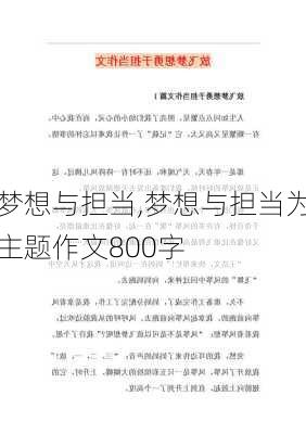 梦想与担当,梦想与担当为主题作文800字-第3张图片-星梦范文网