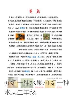 介绍一种水果,介绍一种水果二年级-第2张图片-星梦范文网