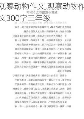 观察动物作文,观察动物作文300字三年级