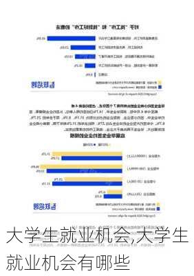 大学生就业机会,大学生就业机会有哪些-第2张图片-星梦范文网