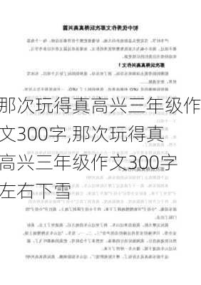 那次玩得真高兴三年级作文300字,那次玩得真高兴三年级作文300字左右下雪-第3张图片-星梦范文网