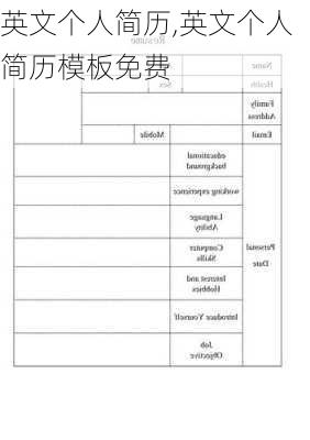 英文个人简历,英文个人简历模板免费-第3张图片-星梦范文网