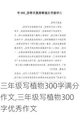 三年级写植物300字满分作文,三年级写植物300字优秀作文-第3张图片-星梦范文网