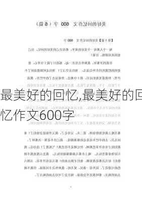 最美好的回忆,最美好的回忆作文600字