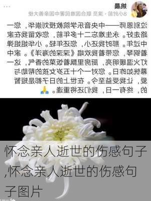 怀念亲人逝世的伤感句子,怀念亲人逝世的伤感句子图片-第3张图片-星梦范文网