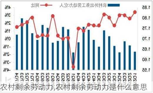 农村剩余劳动力,农村剩余劳动力是什么意思