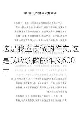 这是我应该做的作文,这是我应该做的作文600字-第1张图片-星梦范文网