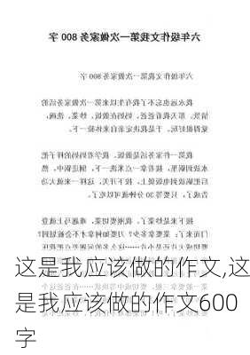 这是我应该做的作文,这是我应该做的作文600字-第3张图片-星梦范文网