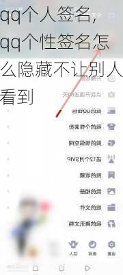 qq个人签名,qq个性签名怎么隐藏不让别人看到-第1张图片-星梦范文网