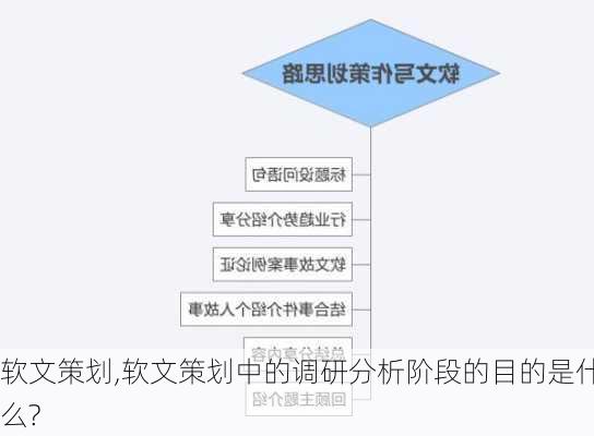 软文策划,软文策划中的调研分析阶段的目的是什么?-第2张图片-星梦范文网