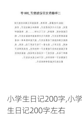 小学生日记200字,小学生日记200字左右-第3张图片-星梦范文网