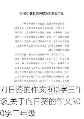 向日葵的作文300字三年级,关于向日葵的作文300字三年级