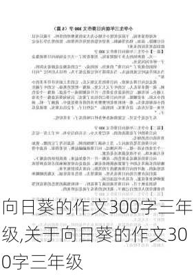 向日葵的作文300字三年级,关于向日葵的作文300字三年级-第2张图片-星梦范文网