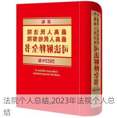 法院个人总结,2023年法院个人总结-第2张图片-星梦范文网