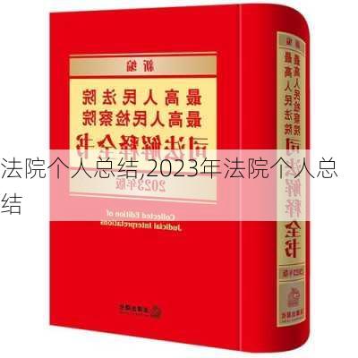 法院个人总结,2023年法院个人总结-第3张图片-星梦范文网