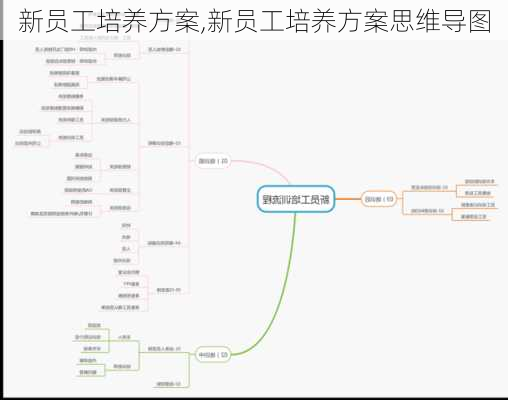 新员工培养方案,新员工培养方案思维导图