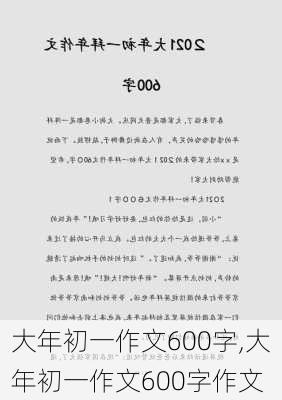 大年初一作文600字,大年初一作文600字作文-第2张图片-星梦范文网