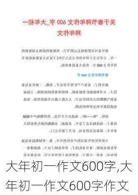 大年初一作文600字,大年初一作文600字作文-第3张图片-星梦范文网