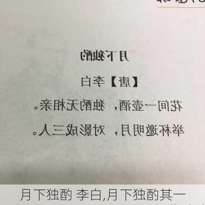 月下独酌 李白,月下独酌其一