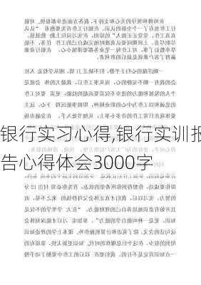 银行实习心得,银行实训报告心得体会3000字-第2张图片-星梦范文网