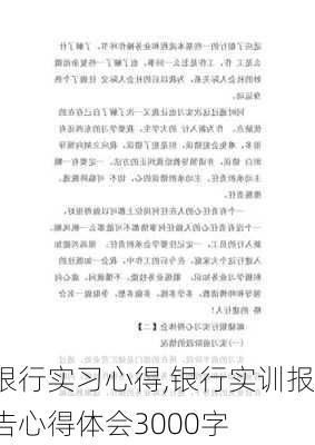 银行实习心得,银行实训报告心得体会3000字-第3张图片-星梦范文网