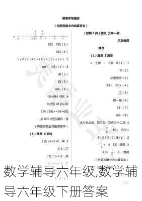 数学辅导六年级,数学辅导六年级下册答案-第2张图片-星梦范文网