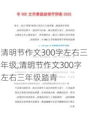 清明节作文300字左右三年级,清明节作文300字左右三年级踏青-第2张图片-星梦范文网