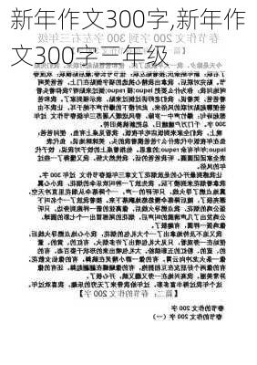 新年作文300字,新年作文300字三年级-第1张图片-星梦范文网