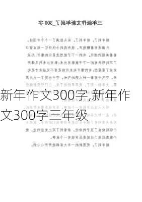 新年作文300字,新年作文300字三年级-第3张图片-星梦范文网