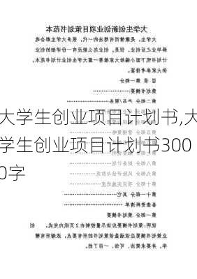 大学生创业项目计划书,大学生创业项目计划书3000字-第2张图片-星梦范文网