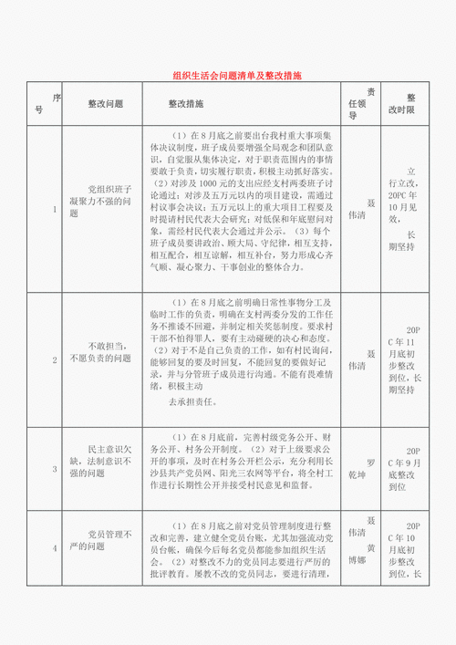 组织生活方面存在的问题,组织生活方面存在的问题及整改措施-第3张图片-星梦范文网