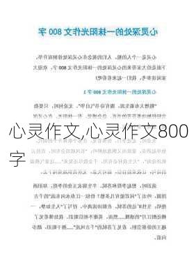 心灵作文,心灵作文800字-第2张图片-星梦范文网