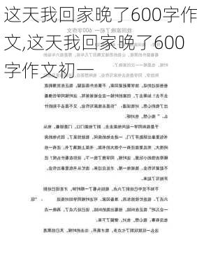 这天我回家晚了600字作文,这天我回家晚了600字作文初一-第1张图片-星梦范文网