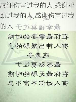 感谢伤害过我的人,感谢帮助过我的人,感谢伤害过我的人-第2张图片-星梦范文网