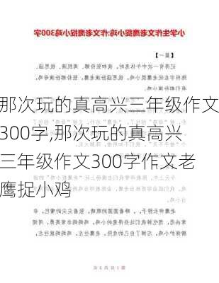 那次玩的真高兴三年级作文300字,那次玩的真高兴三年级作文300字作文老鹰捉小鸡-第1张图片-星梦范文网