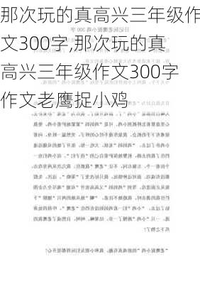 那次玩的真高兴三年级作文300字,那次玩的真高兴三年级作文300字作文老鹰捉小鸡-第2张图片-星梦范文网