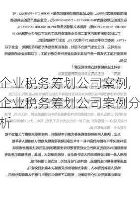 企业税务筹划公司案例,企业税务筹划公司案例分析