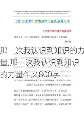 那一次我认识到知识的力量,那一次我认识到知识的力量作文800字