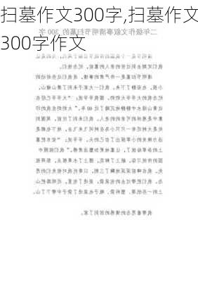 扫墓作文300字,扫墓作文300字作文-第3张图片-星梦范文网