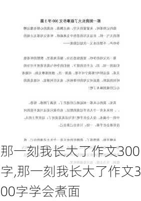 那一刻我长大了作文300字,那一刻我长大了作文300字学会煮面-第3张图片-星梦范文网