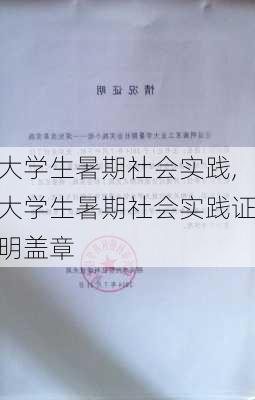 大学生暑期社会实践,大学生暑期社会实践证明盖章-第3张图片-星梦范文网