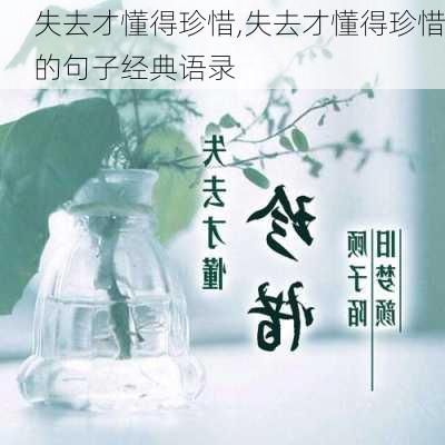 失去才懂得珍惜,失去才懂得珍惜的句子经典语录-第1张图片-星梦范文网