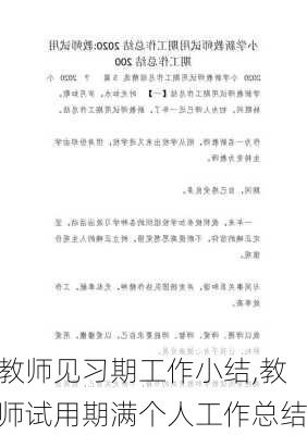 教师见习期工作小结,教师试用期满个人工作总结-第3张图片-星梦范文网