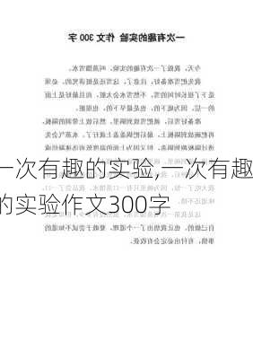 一次有趣的实验,一次有趣的实验作文300字