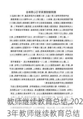 教师继续教育总结,2023年教师继续教育总结