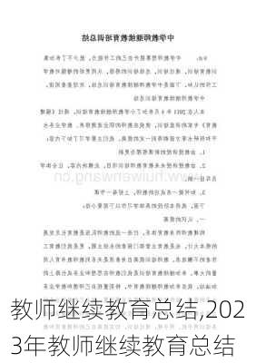 教师继续教育总结,2023年教师继续教育总结-第3张图片-星梦范文网